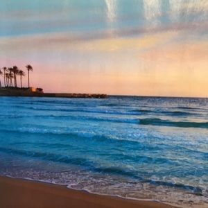 Meet your Posher, Misty